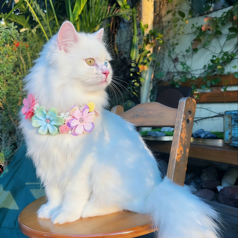 Photography Basic - Magnifique collier coloré à fleurs pour