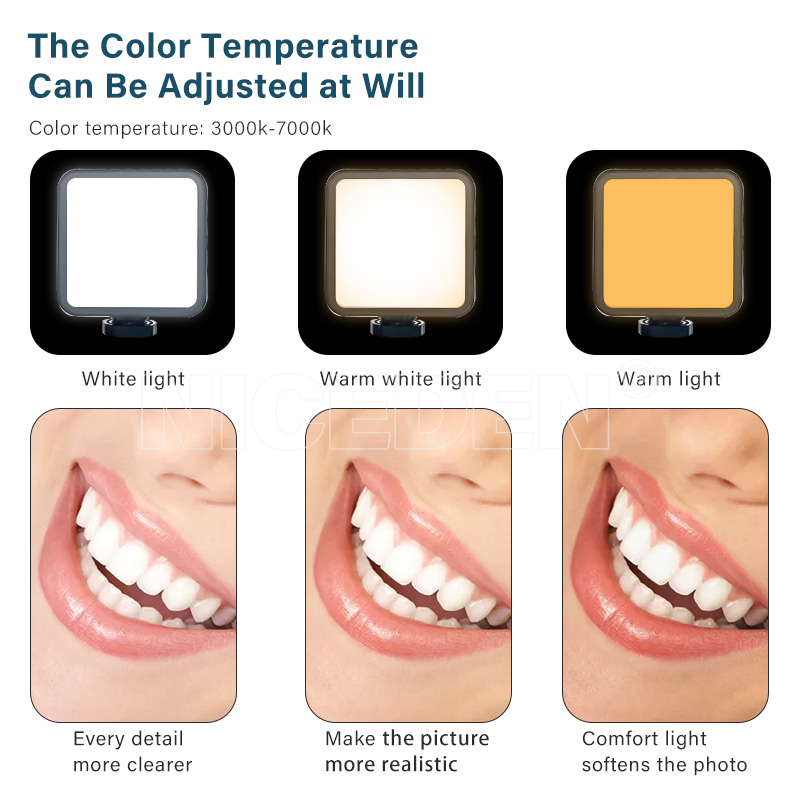Niceden Lampe Flash Portable D - Photography Dental avis et prix