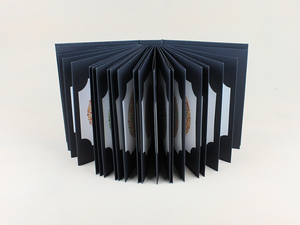 Ishihara Book Carte de test de - Color Checker Card avis et prix